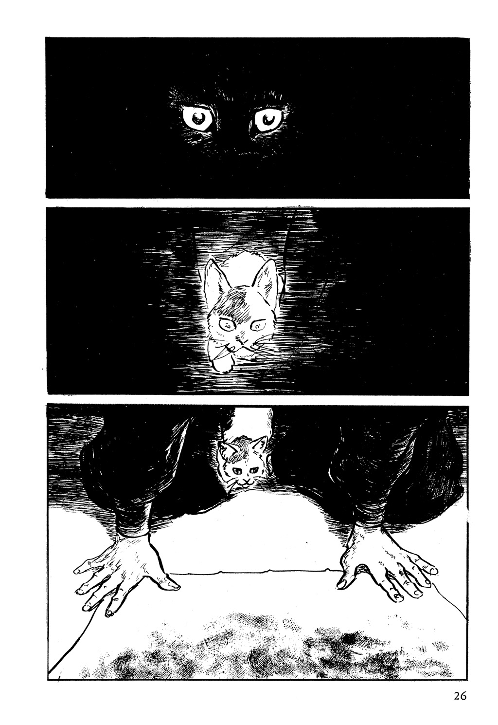 Path of the Assassin Gölgelerden Hizmet Etmek 第3页