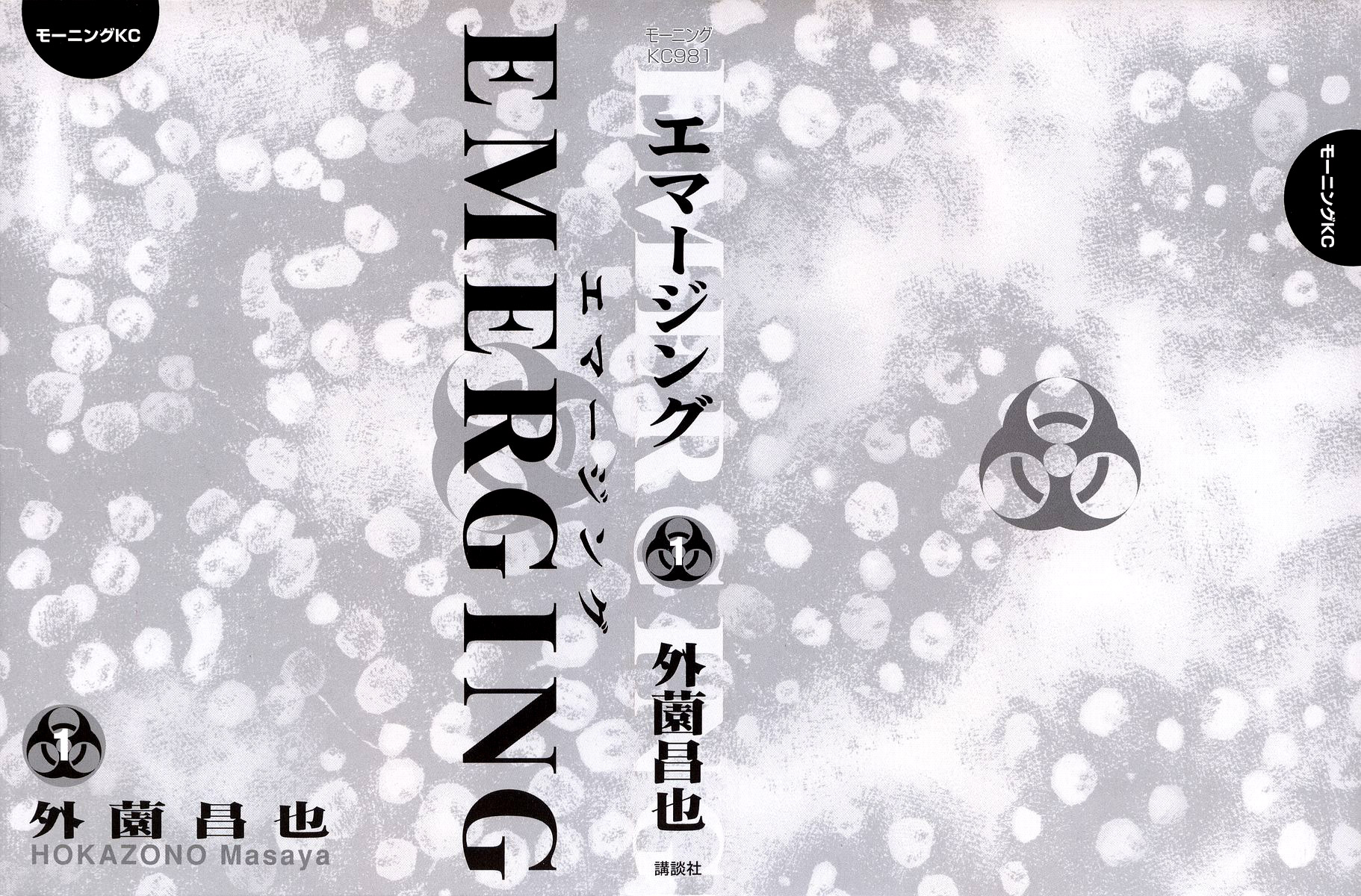 Emerging Comienzo 第2页