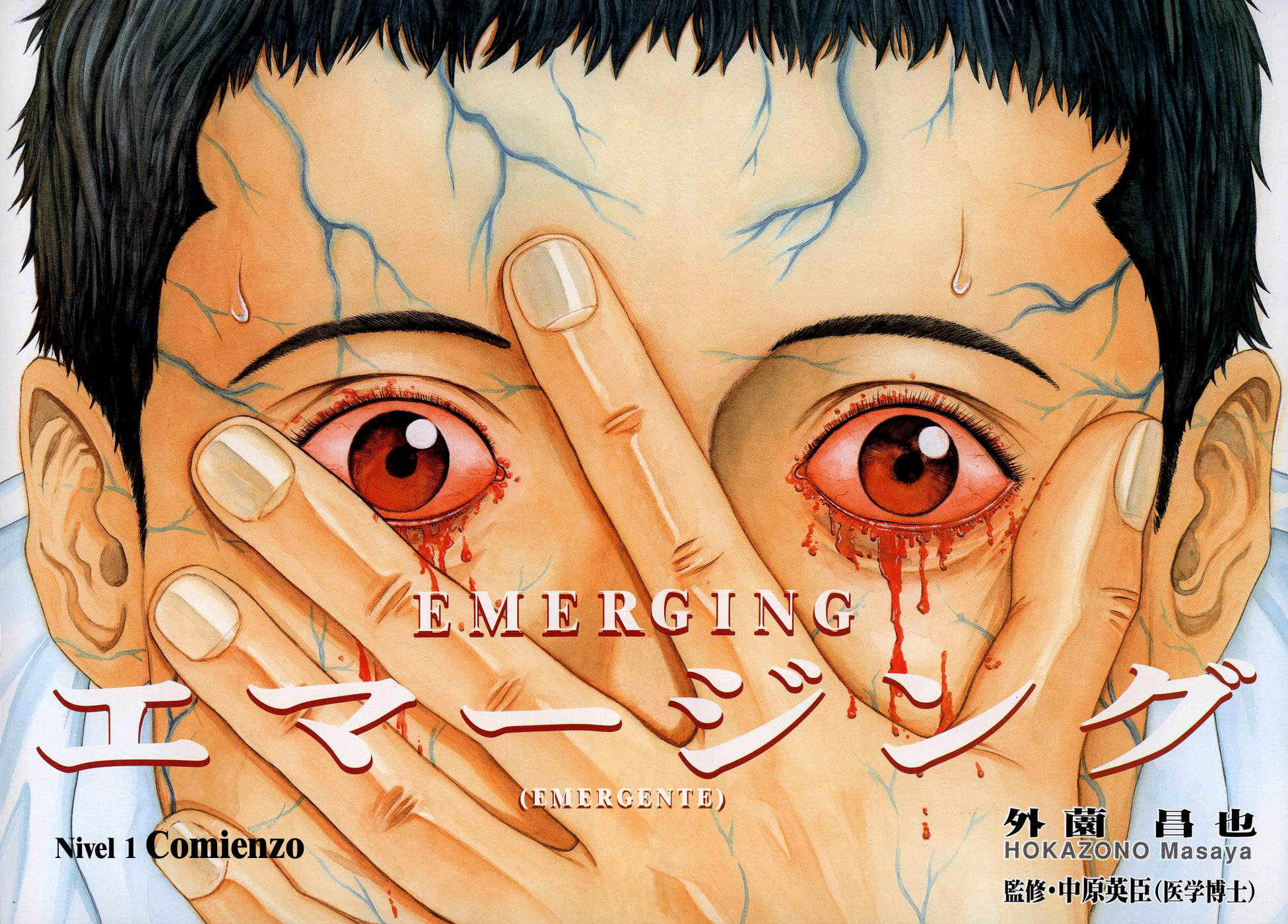 Emerging Comienzo 第4页