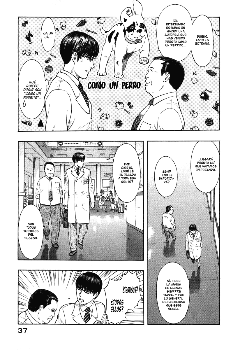 Emerging Comienzo 第36页