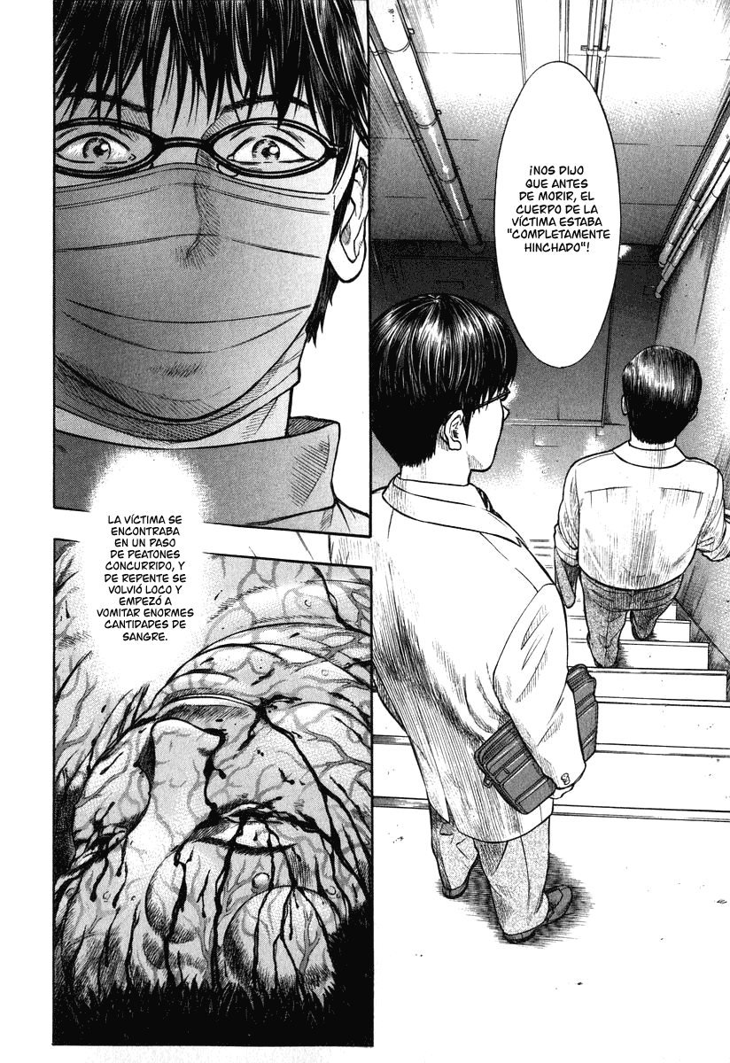 Emerging Comienzo 第41页