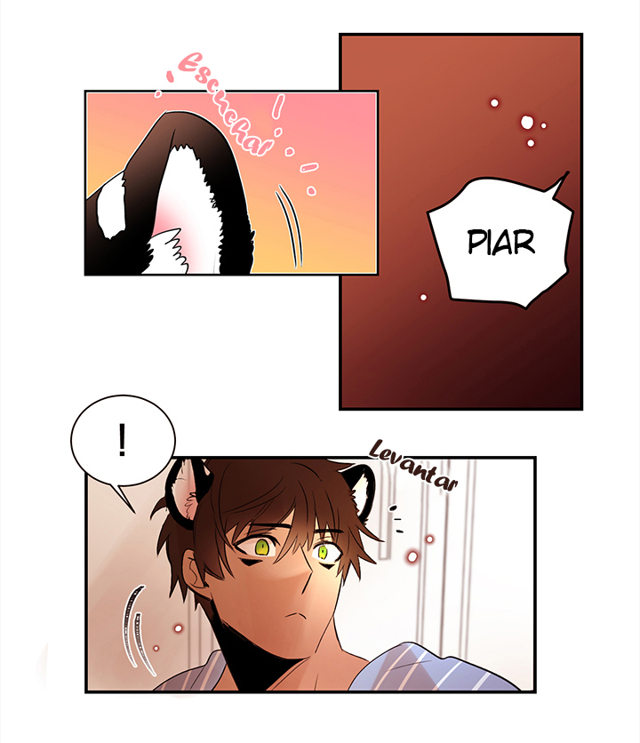 Cat in a Cardboard Box Ch. 2 第15页