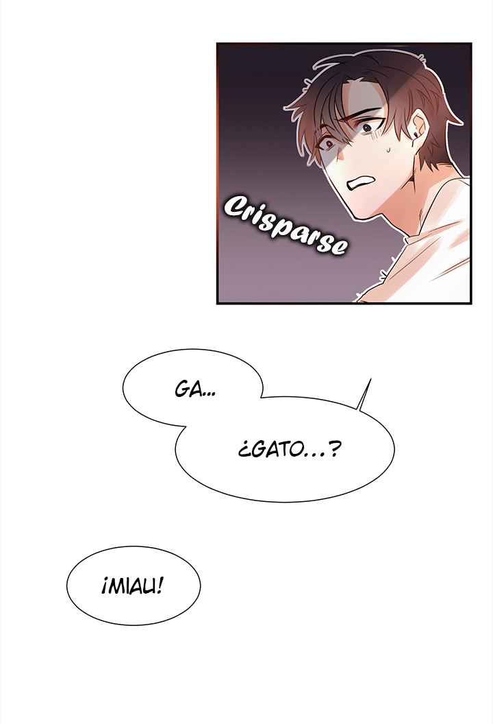 Cat in a Cardboard Box Ch. 2 第4页