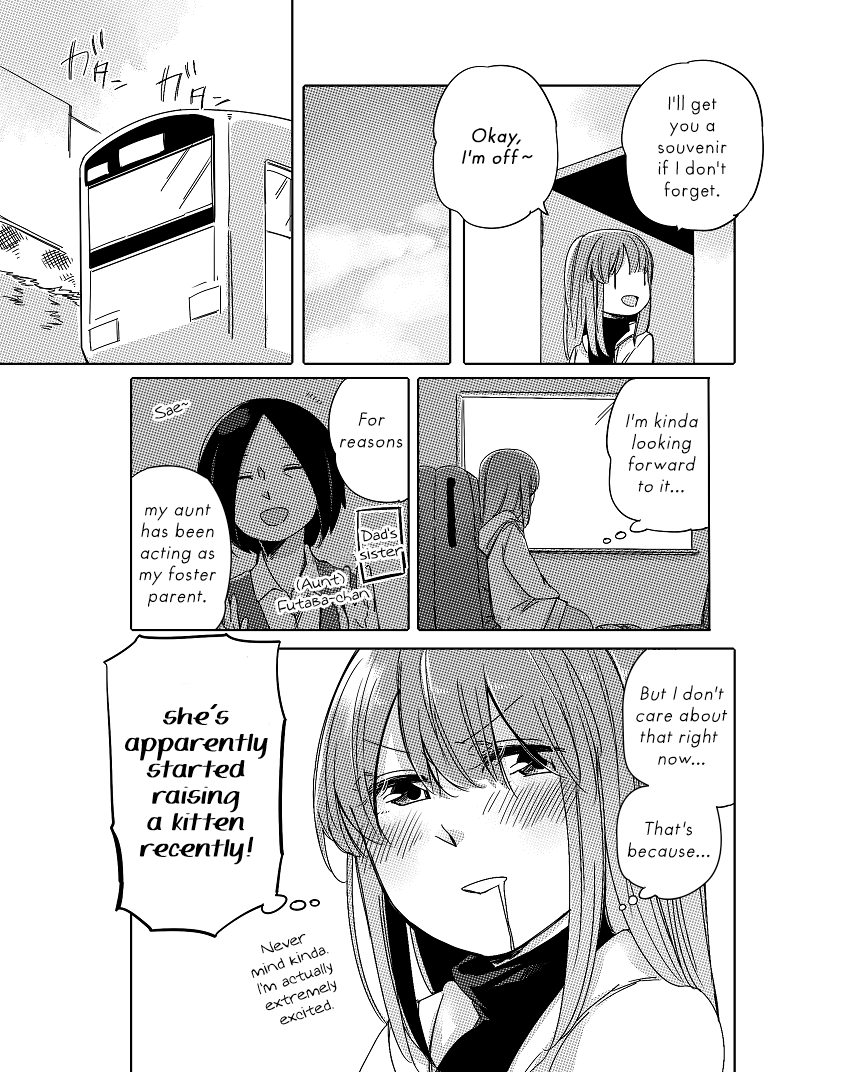 Nora-san the Tsungire Cat Ch. 2.2 第12页