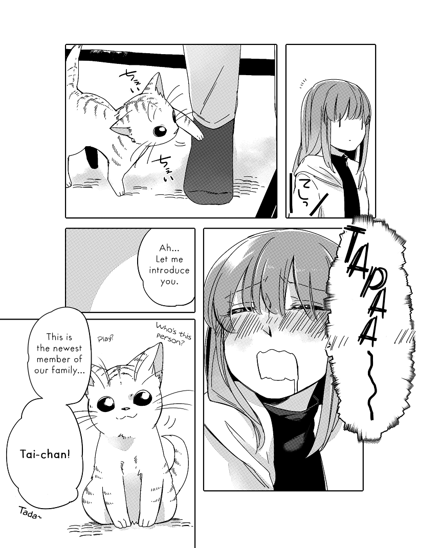 Nora-san the Tsungire Cat Ch. 2.2 第14页