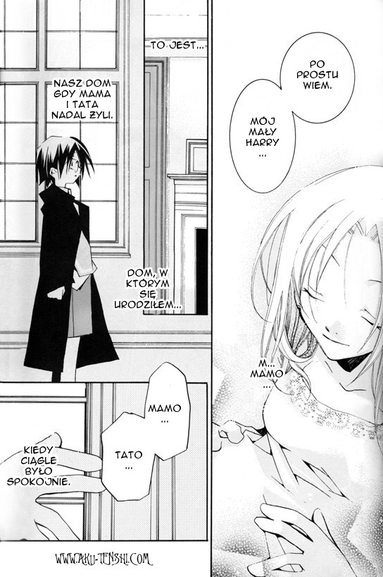 Harry Potter - Montage (Doujinshi) Wspomnienia 第11页