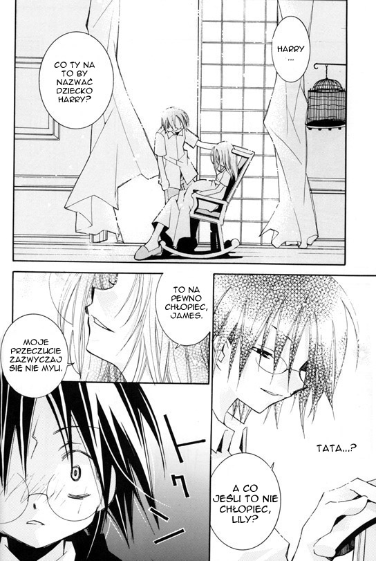 Harry Potter - Montage (Doujinshi) Wspomnienia 第10页