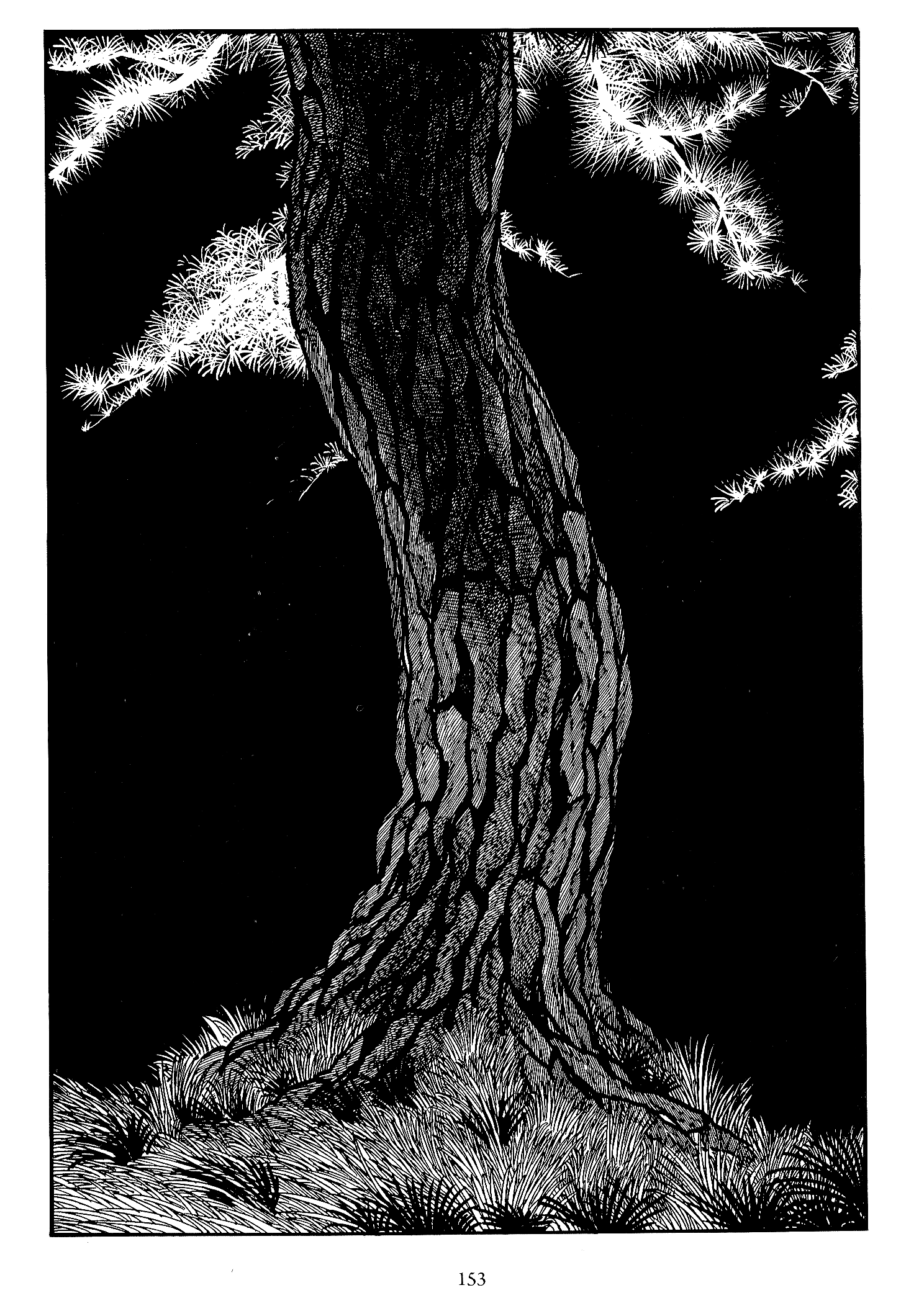 Miyamoto Musashi (ISHInoMORI Shotaro) Manuscrito del Agua 第67页