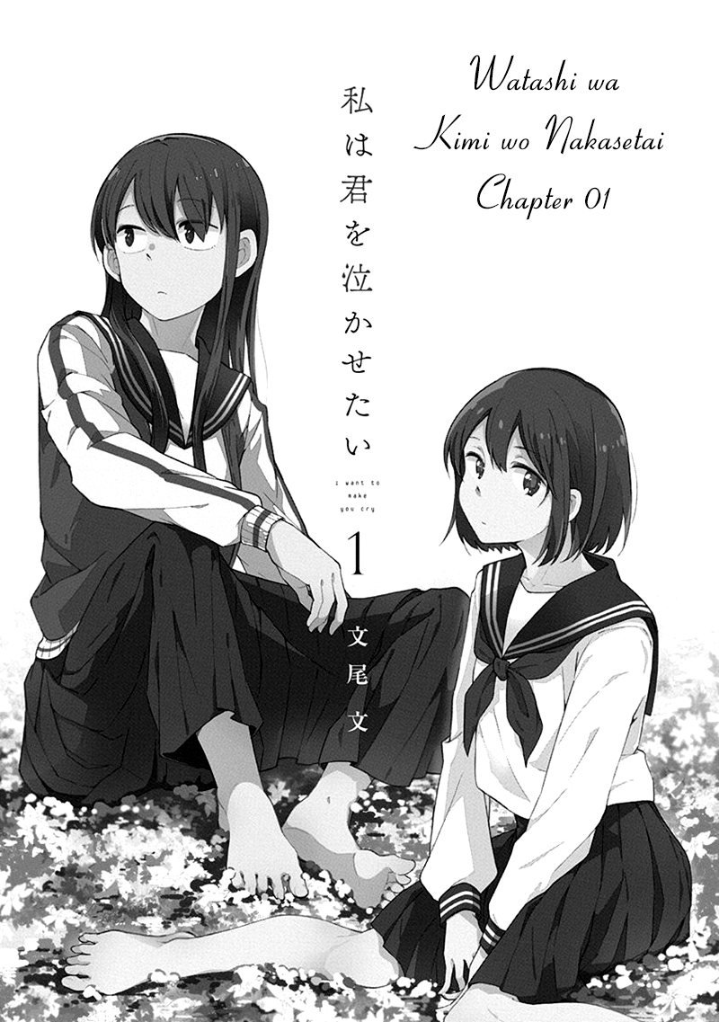 Watashi wa Kimi wo Nakasetai 第4页