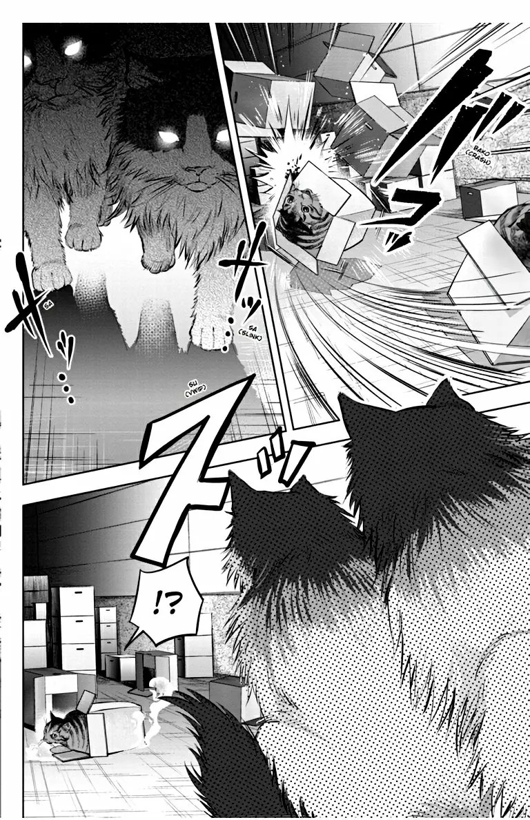 Nyankees Vol. 1 Ch. 2 第15页