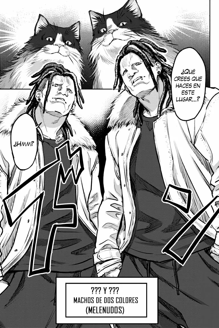 Nyankees Vol. 1 Ch. 2 第16页