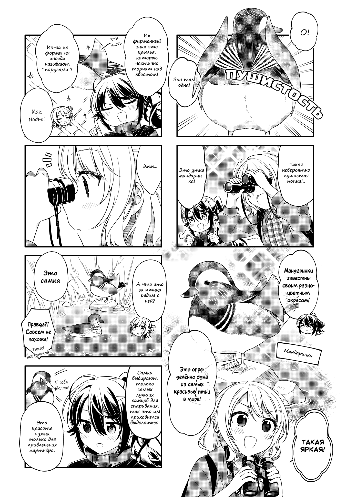 Shiawase Tori-mingu Vol. 1 Ch. 3 第6页