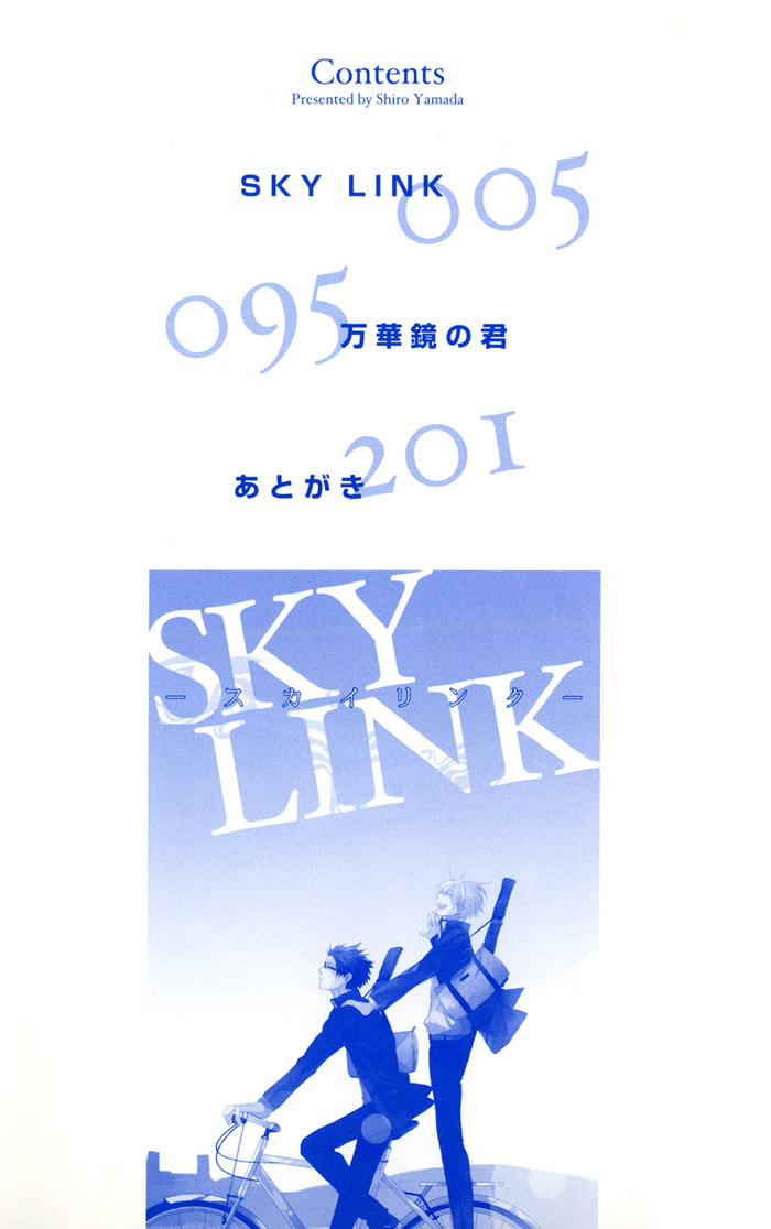 Sky Link 第4页