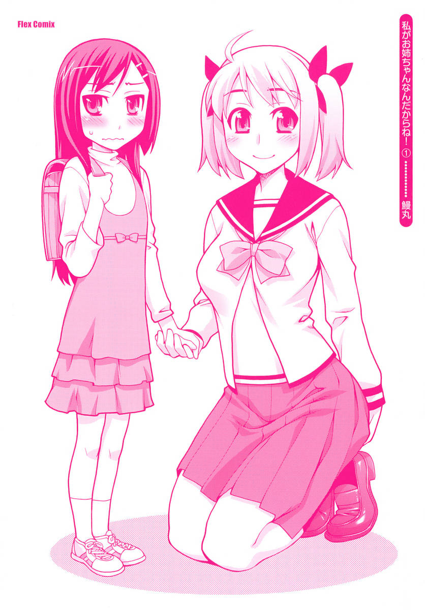 Watashi ga Oneechan Nan Dakara ne! Big Sis and Me 第2页
