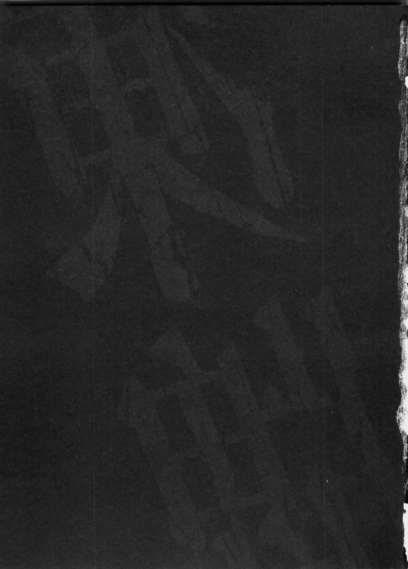 Tohai 第3页