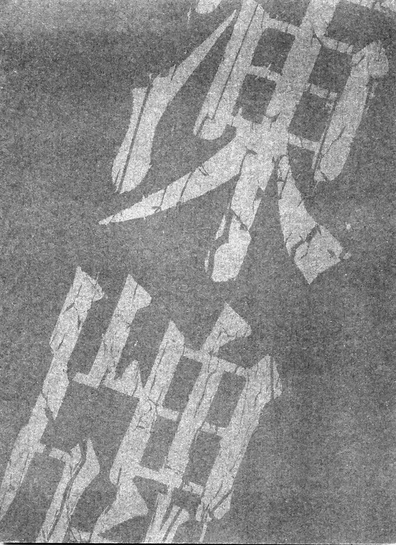 Tohai 第6页