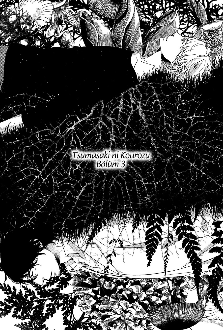 Tsumasaki ni Kourozu Vol. 1 Ch. 3 第4页