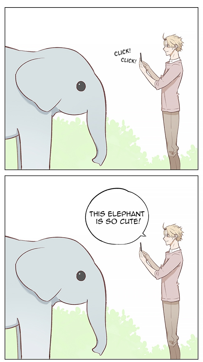 Aman's Animal Tales 第1页