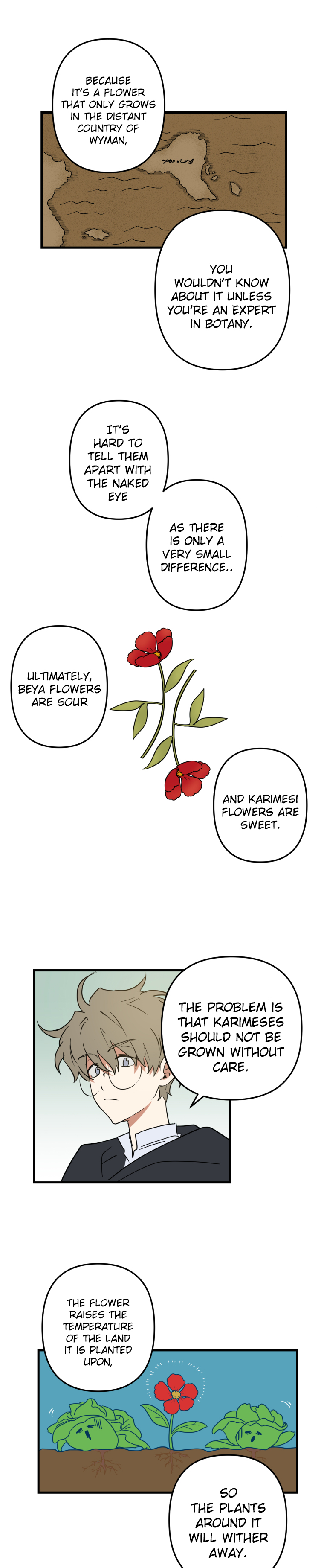 Heim's Study The Village Blooming With Red Flowers 第14页
