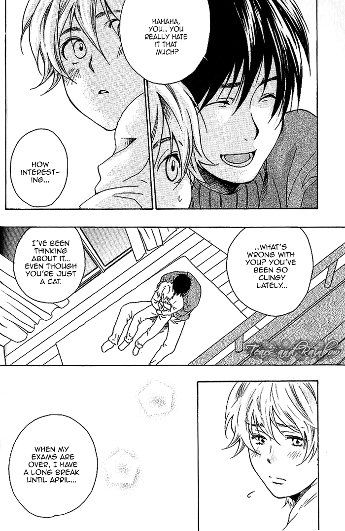Neko Irimasen ka? Vol. 1 Ch. 1 第30页