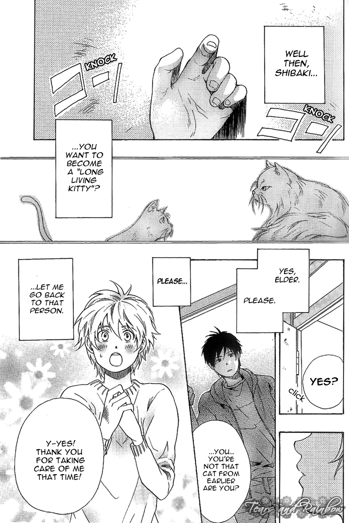 Neko Irimasen ka? Vol. 1 Ch. 1 第9页