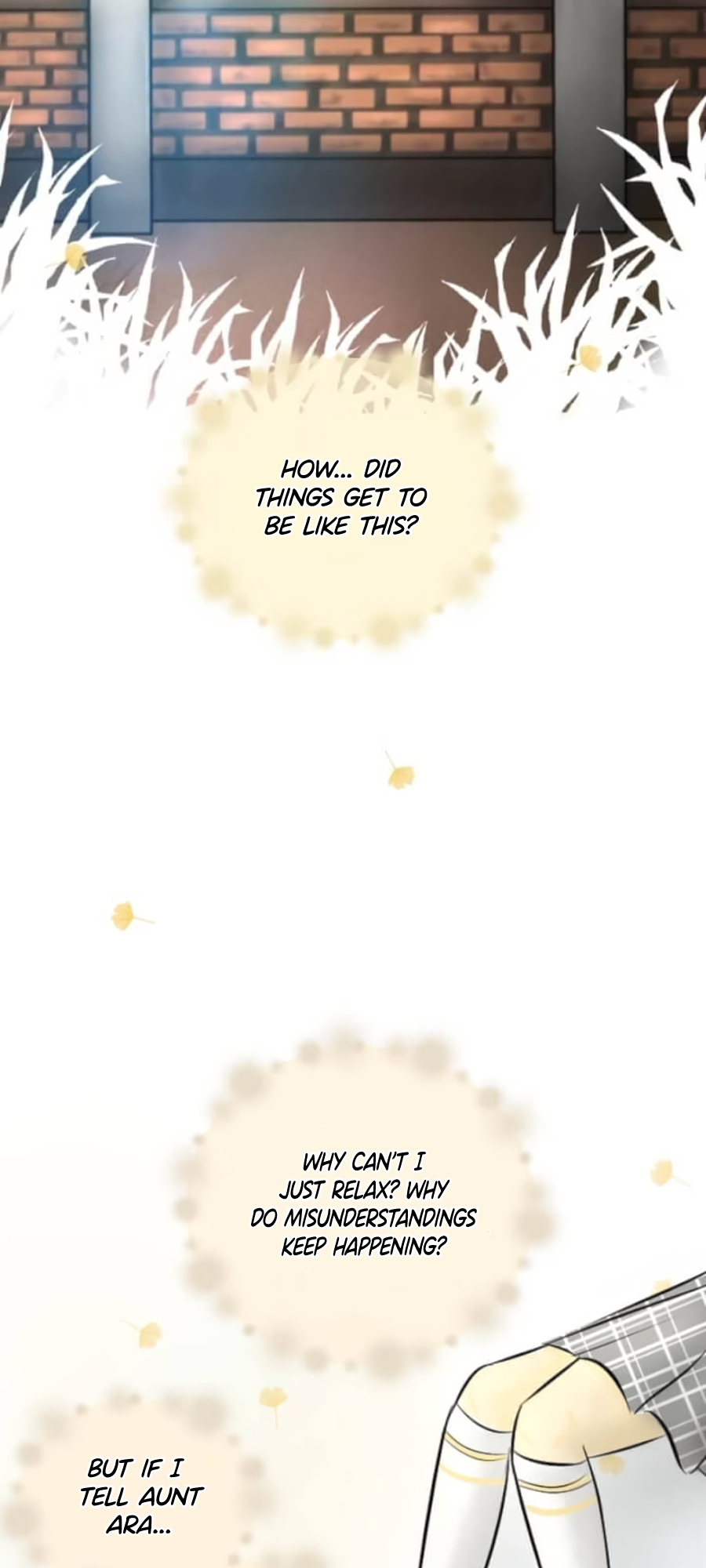 Misunderstand Ch. 2 第27页