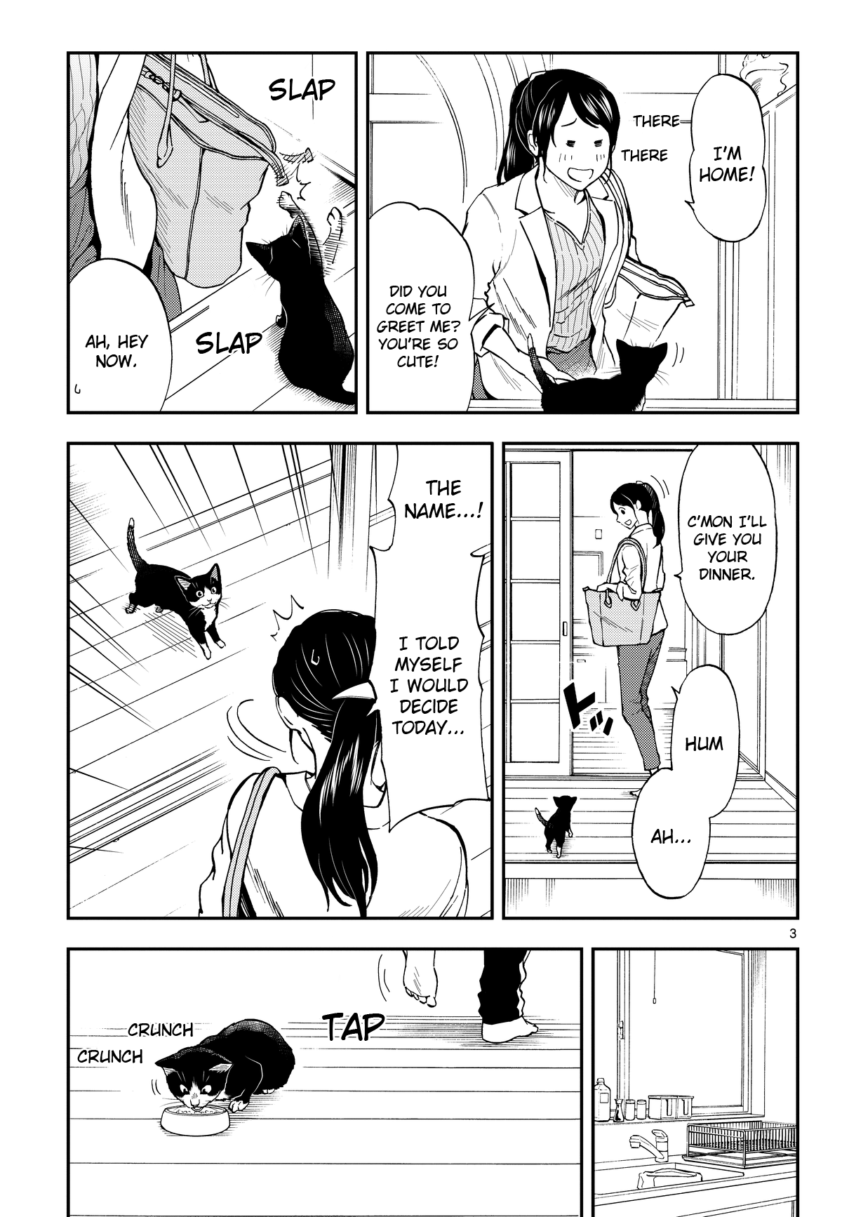 Neko Gurashi no Gamer-san Male/female panic 第3页