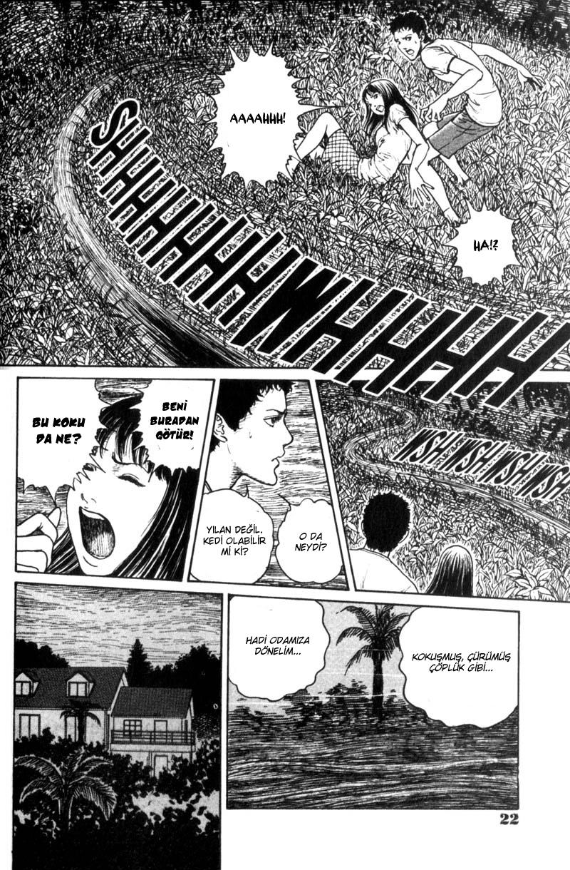 GYO Ch. 1 第22页