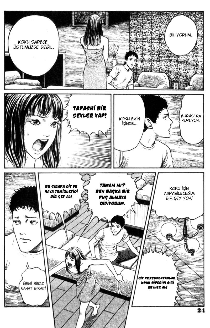 GYO Ch. 1 第24页