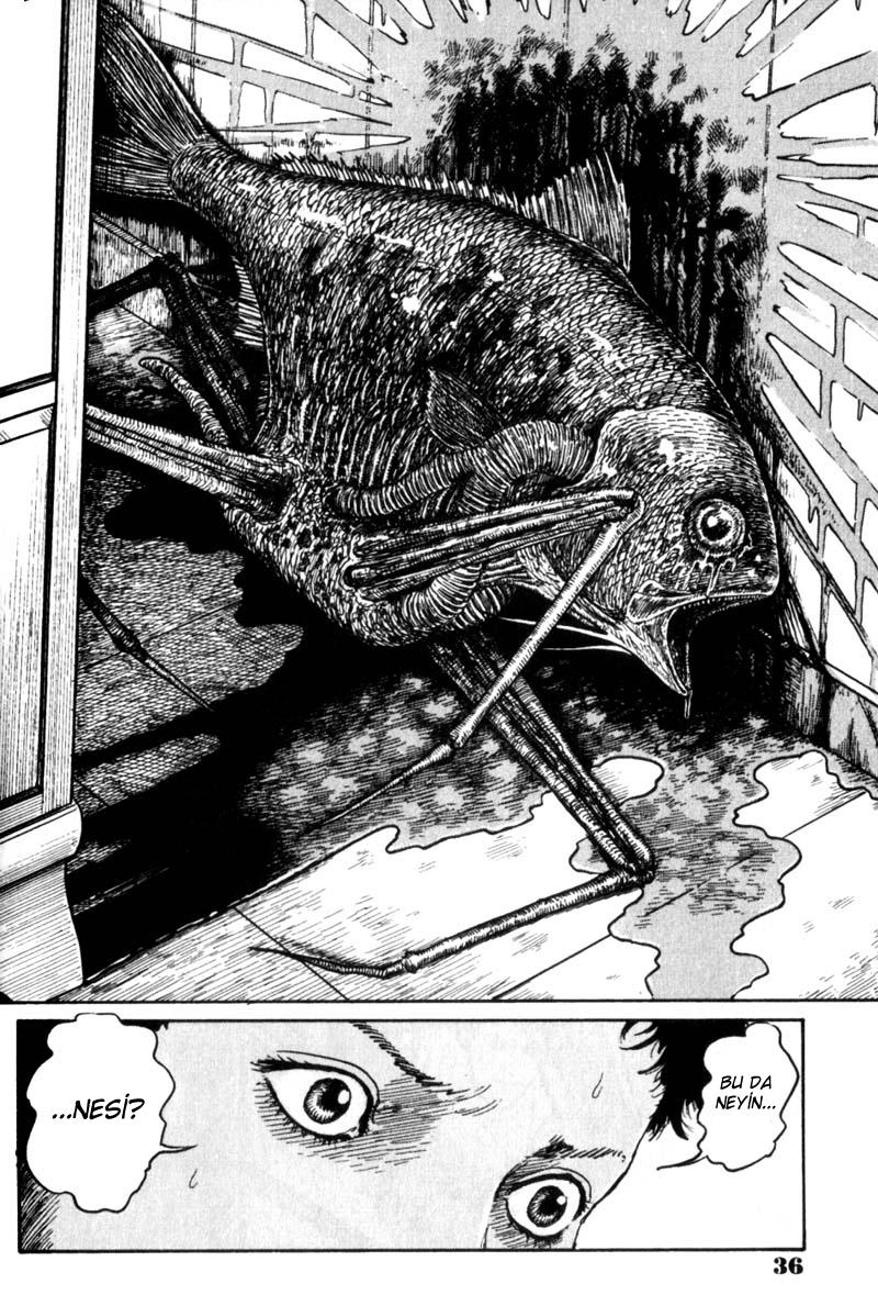 GYO Ch. 1 第36页
