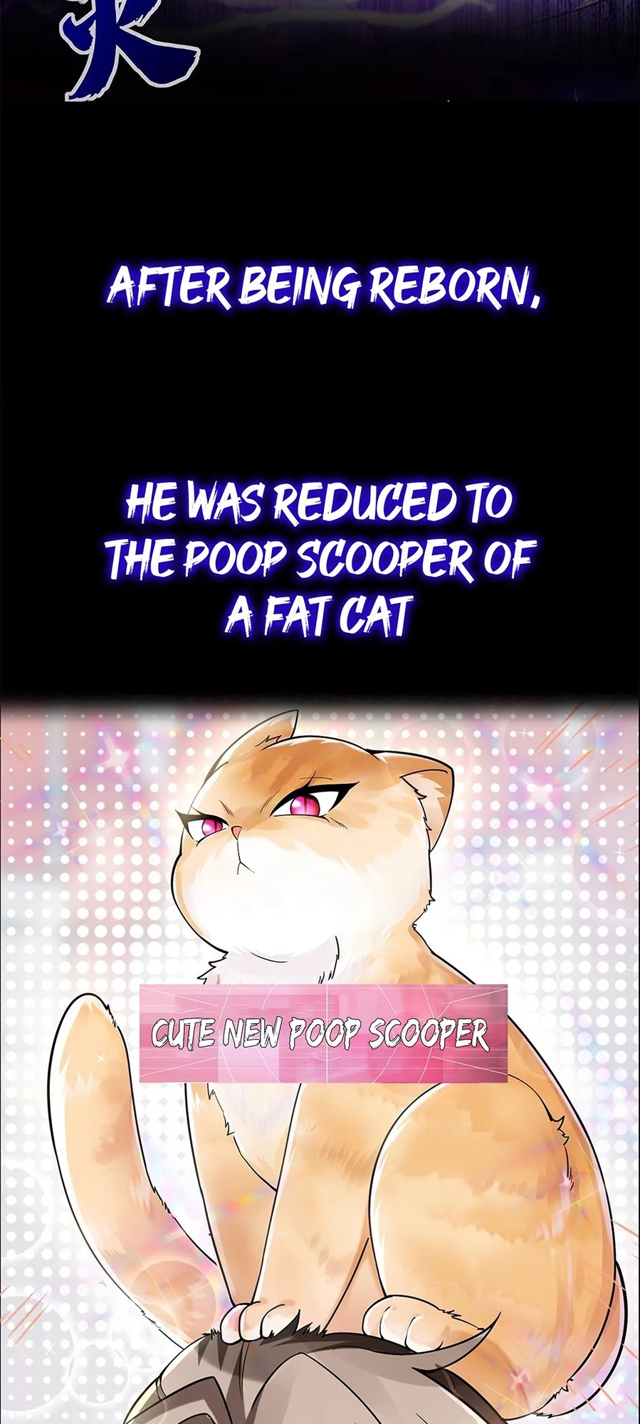 Divine Contract: Starting With A Cat 第2页