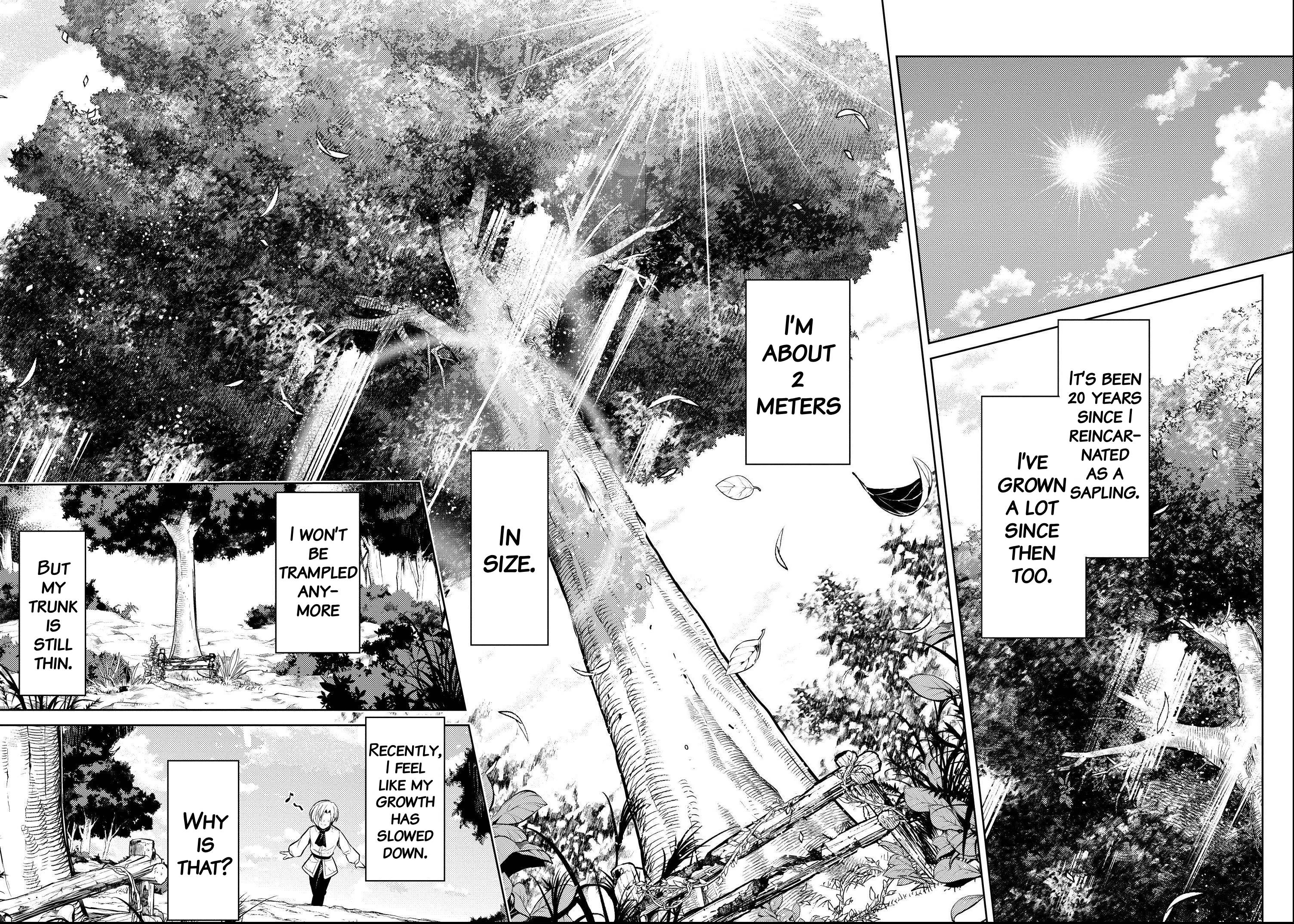 Tensei Shitara Sekaiju Datta Ken I've been reincarnated as a sapling 第48页
