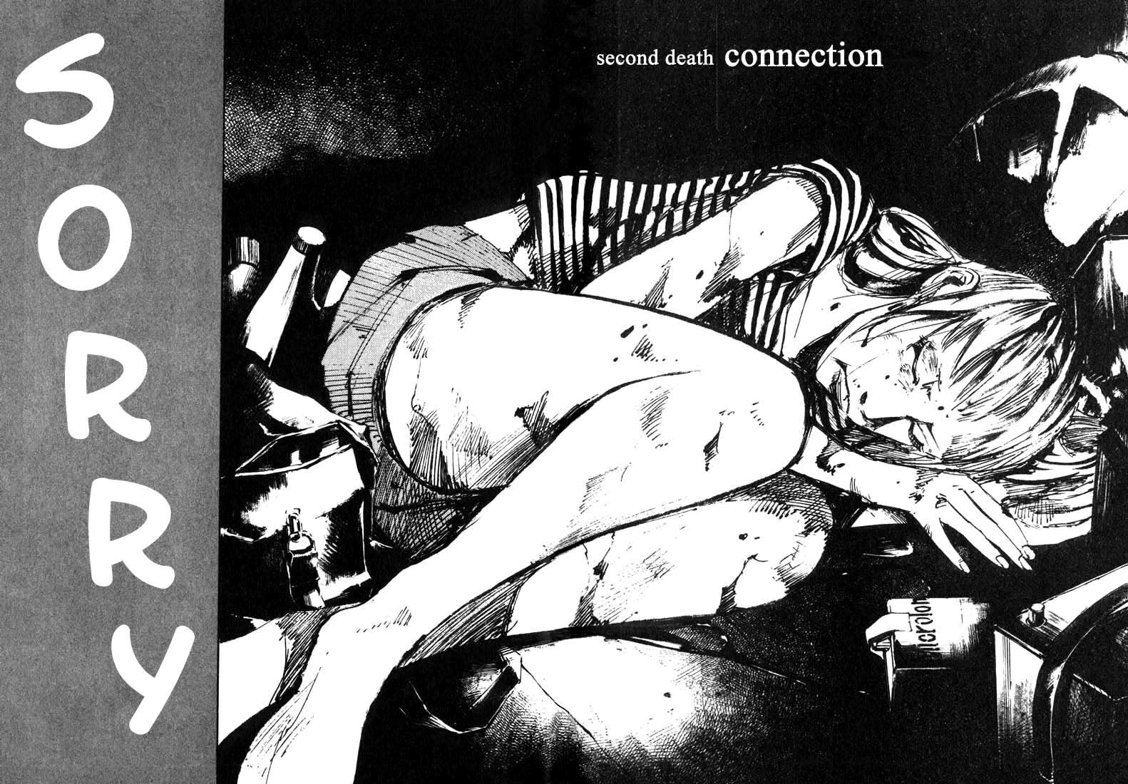 Skyhigh Connection 第3页