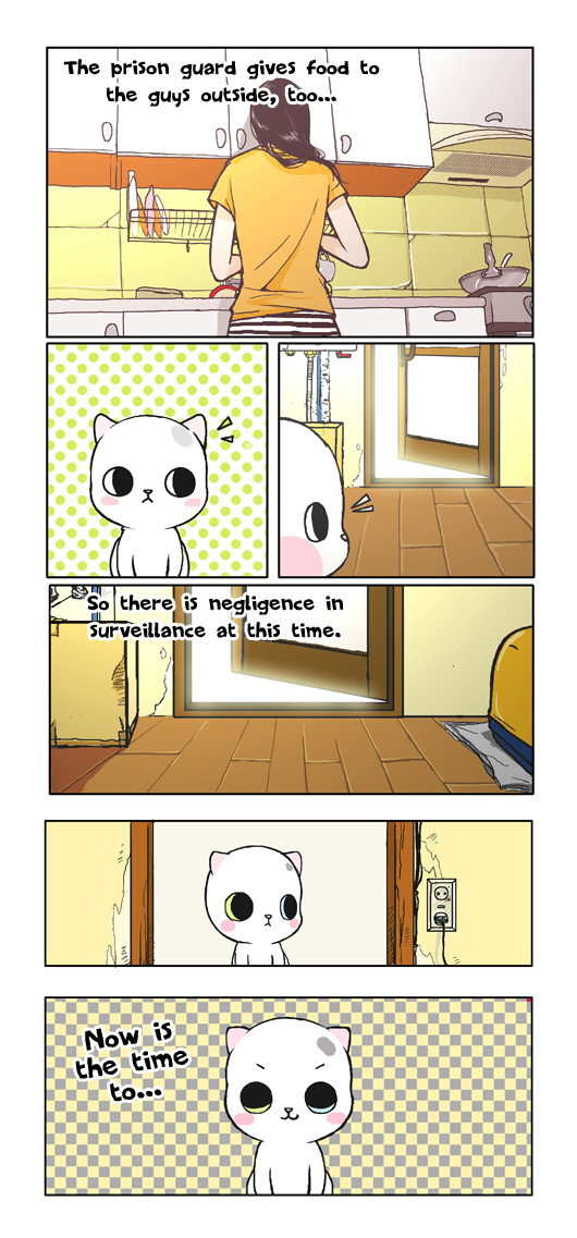 Papi Nyang 第7页
