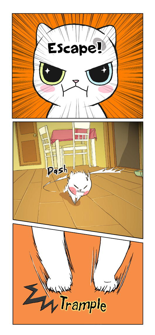 Papi Nyang 第8页
