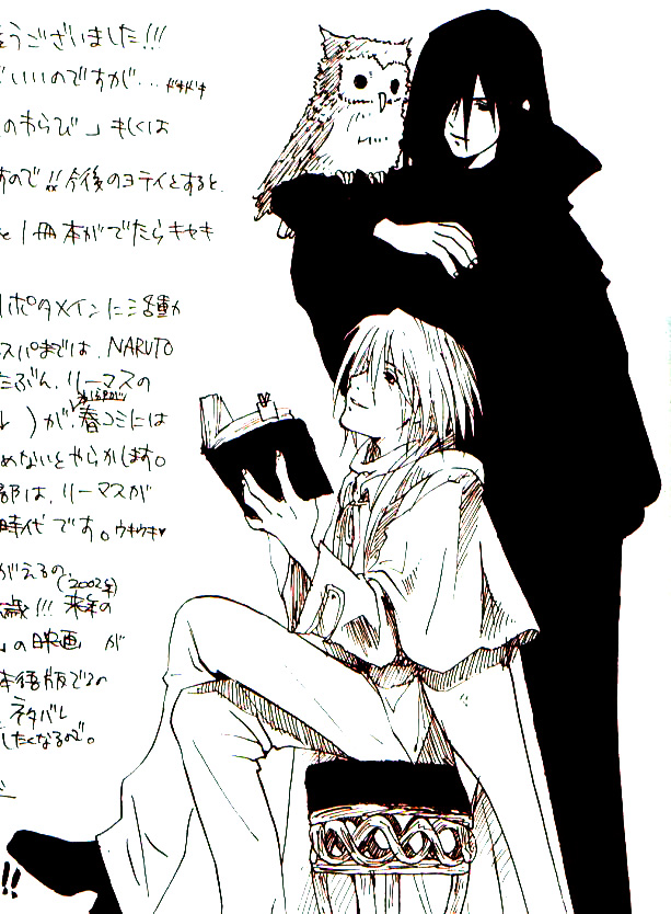 Harry Potter - Potter Addicts (Doujinshi) 第2页