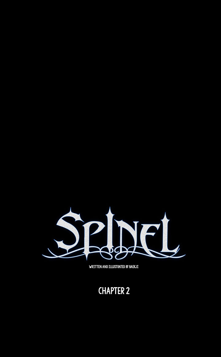 Spinel Ch. 2 第4页