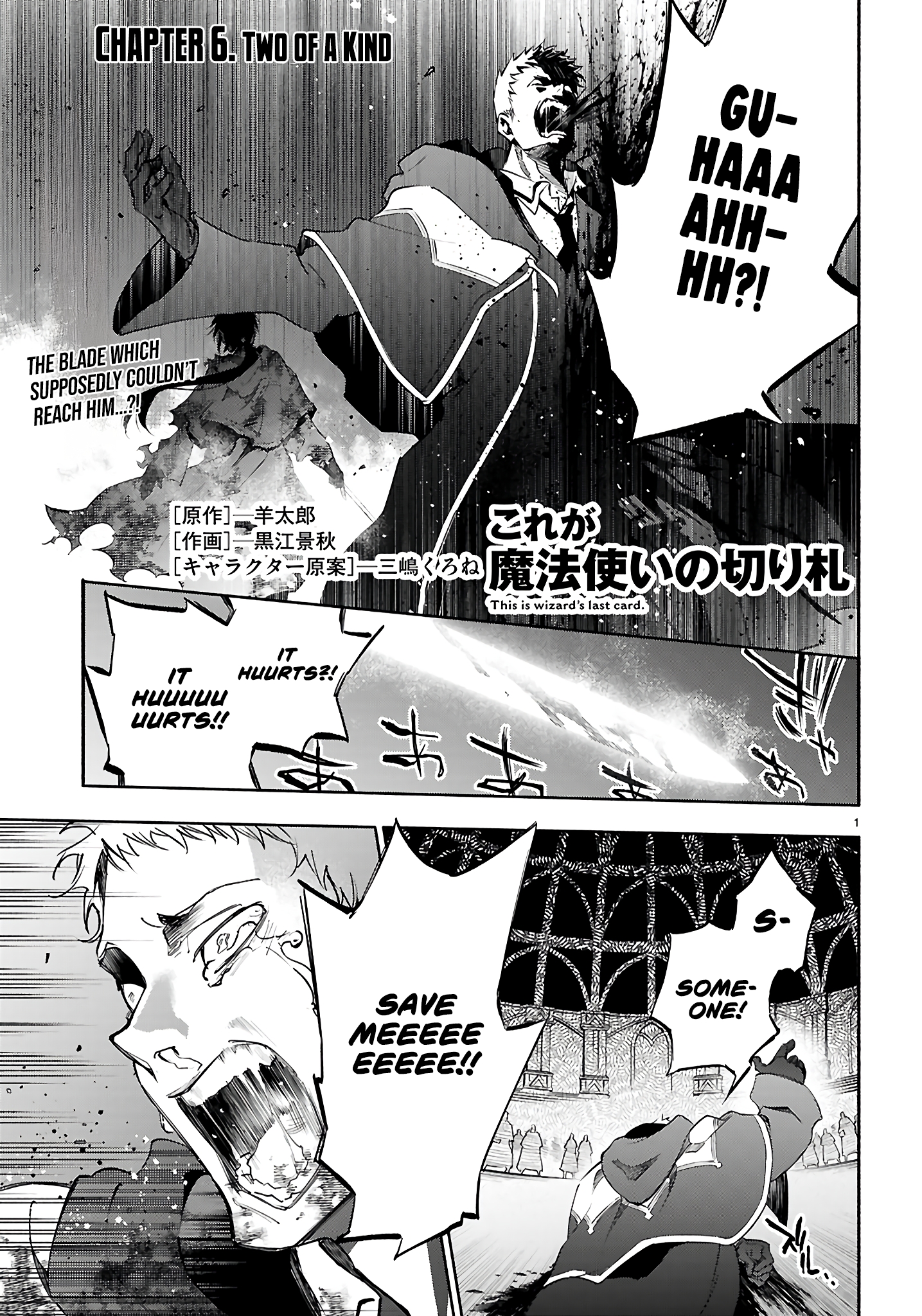 This Is the Wizard’s Secret Weapon Two of a Kind 第2页