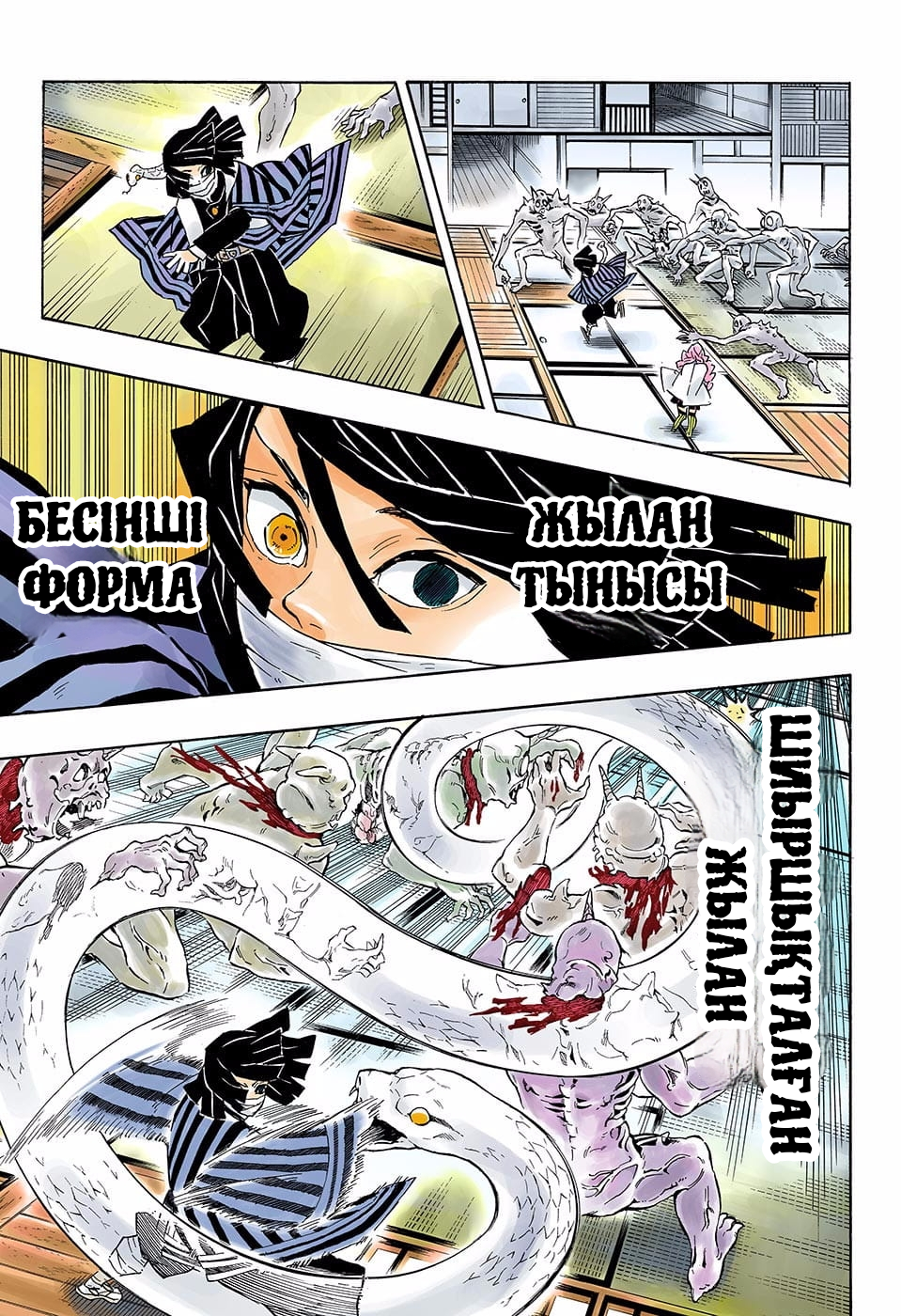 Demon Slayer: Kimetsu no Yaiba (Official Colored) Шешуші шайқастың басы 第9页
