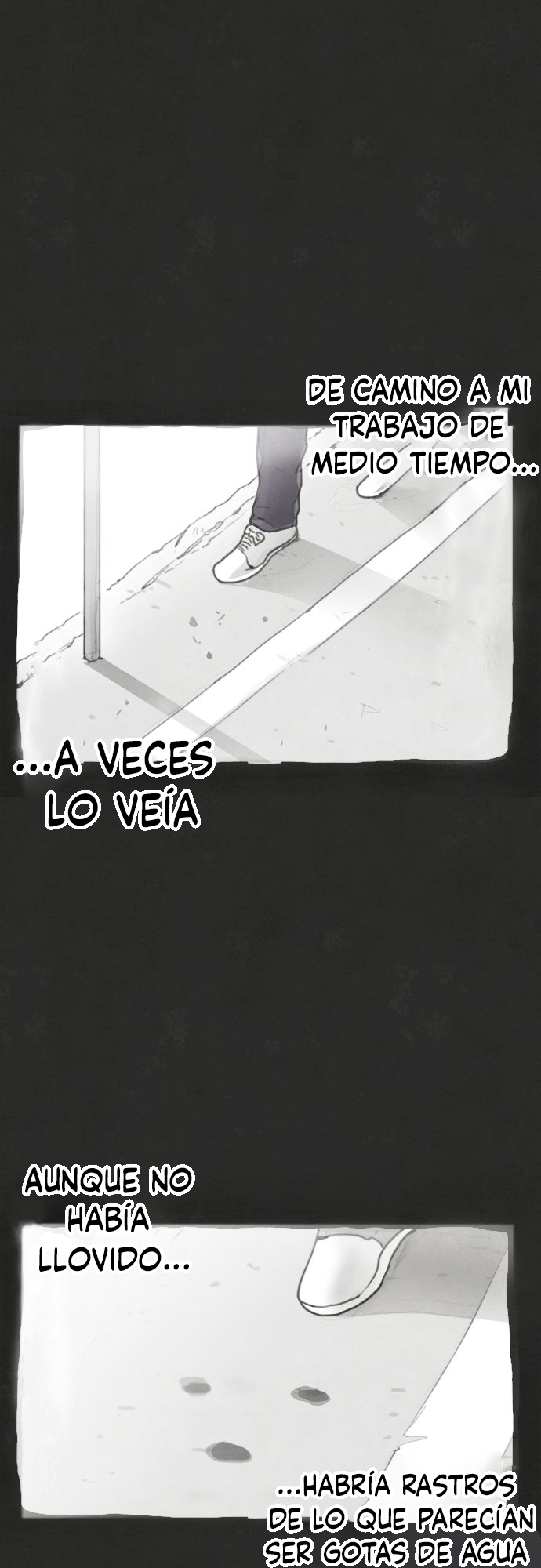 Star Flowers Lo que vi ahí 第2页