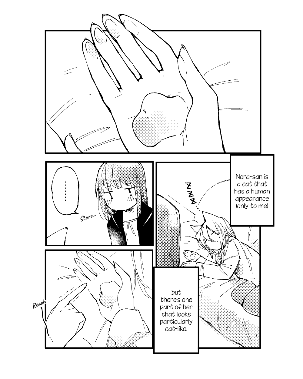Nora-san the Tsungire Cat Ch. 3 第19页
