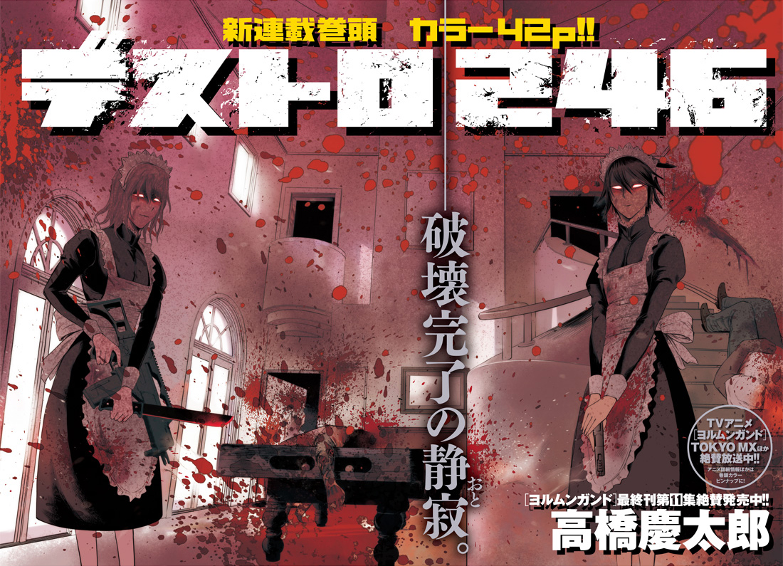 Destro 246 第3页