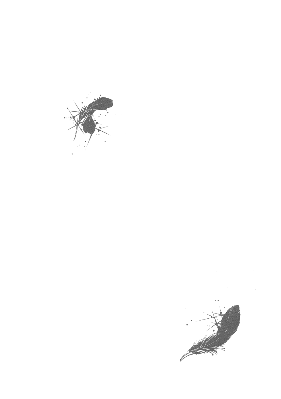 SWAN 第6页