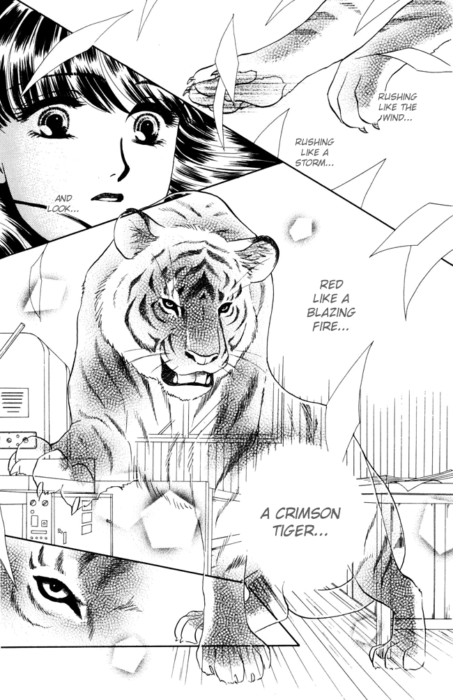 My Rosy Honey My Little Kitty 第42页