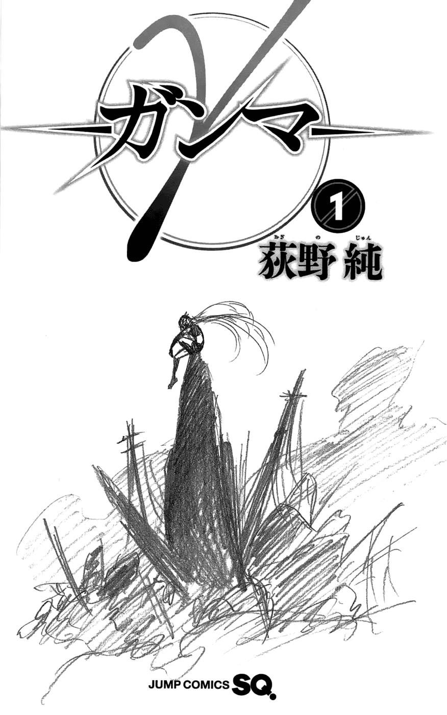 Gamma 第4页