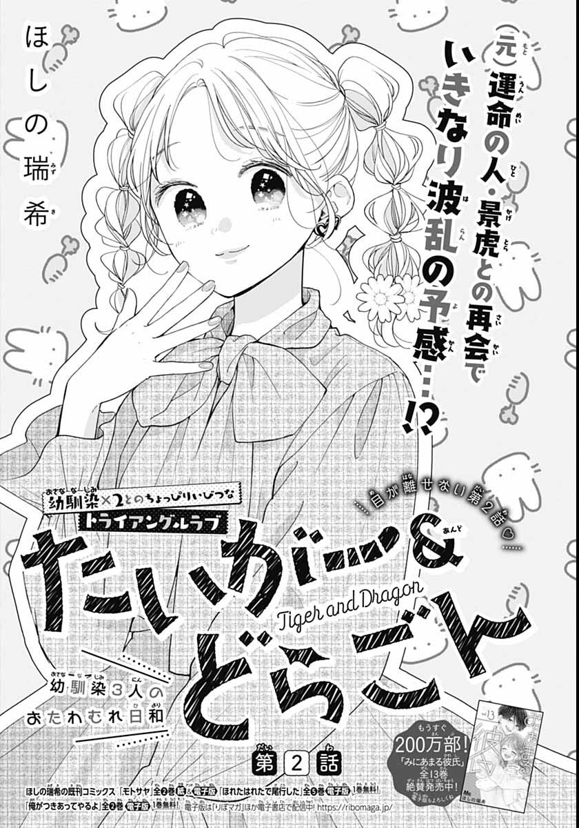 Tiger & Dragon Vol. 1 Ch. 2 第3页