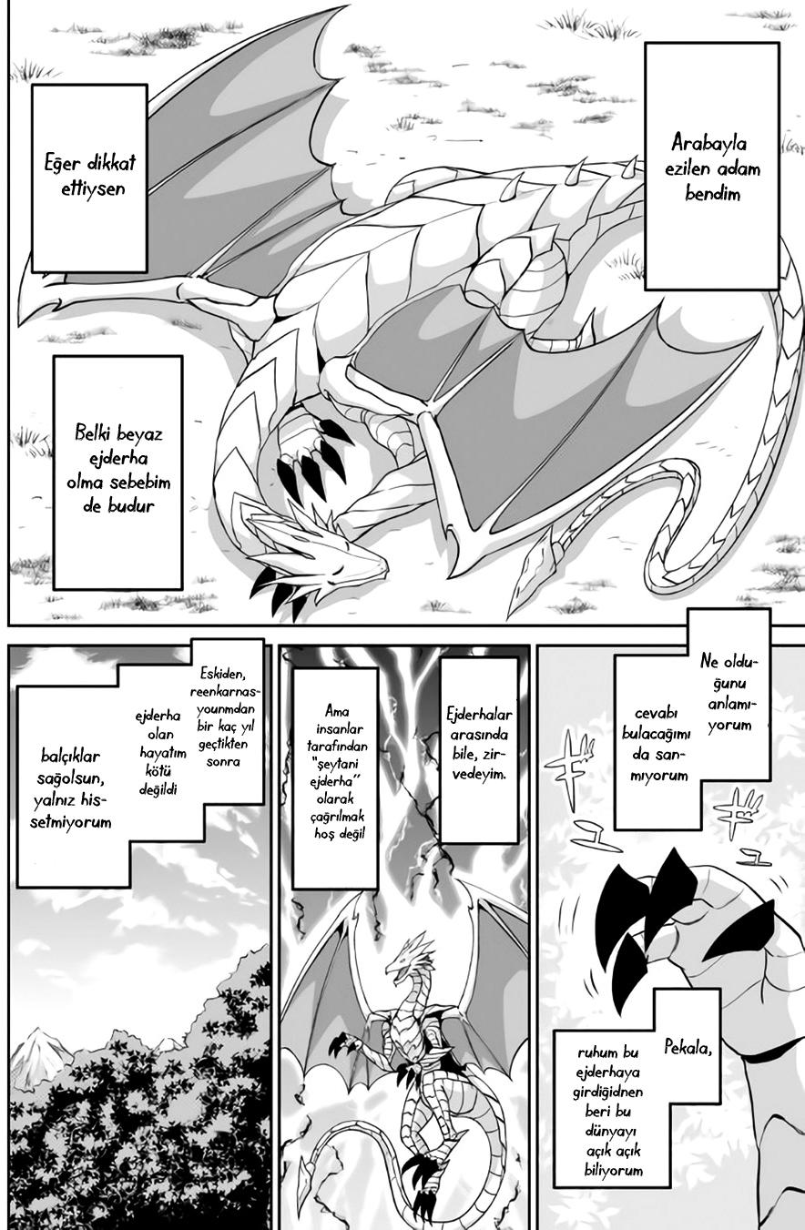 The Reincarnated Evil Dragon Vol. 1 Ch. 1 第15页