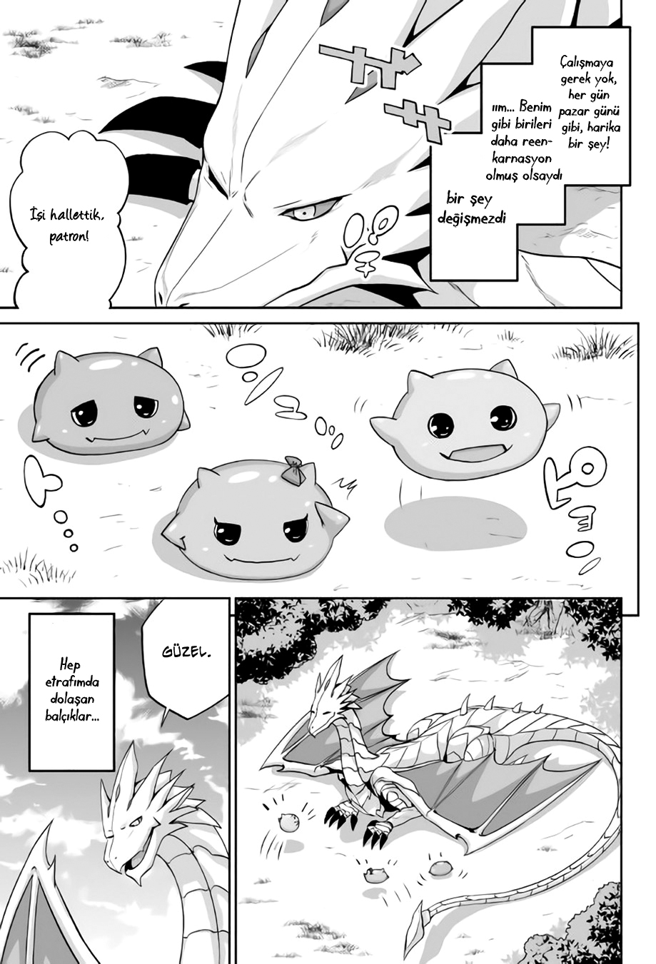 The Reincarnated Evil Dragon Vol. 1 Ch. 1 第16页