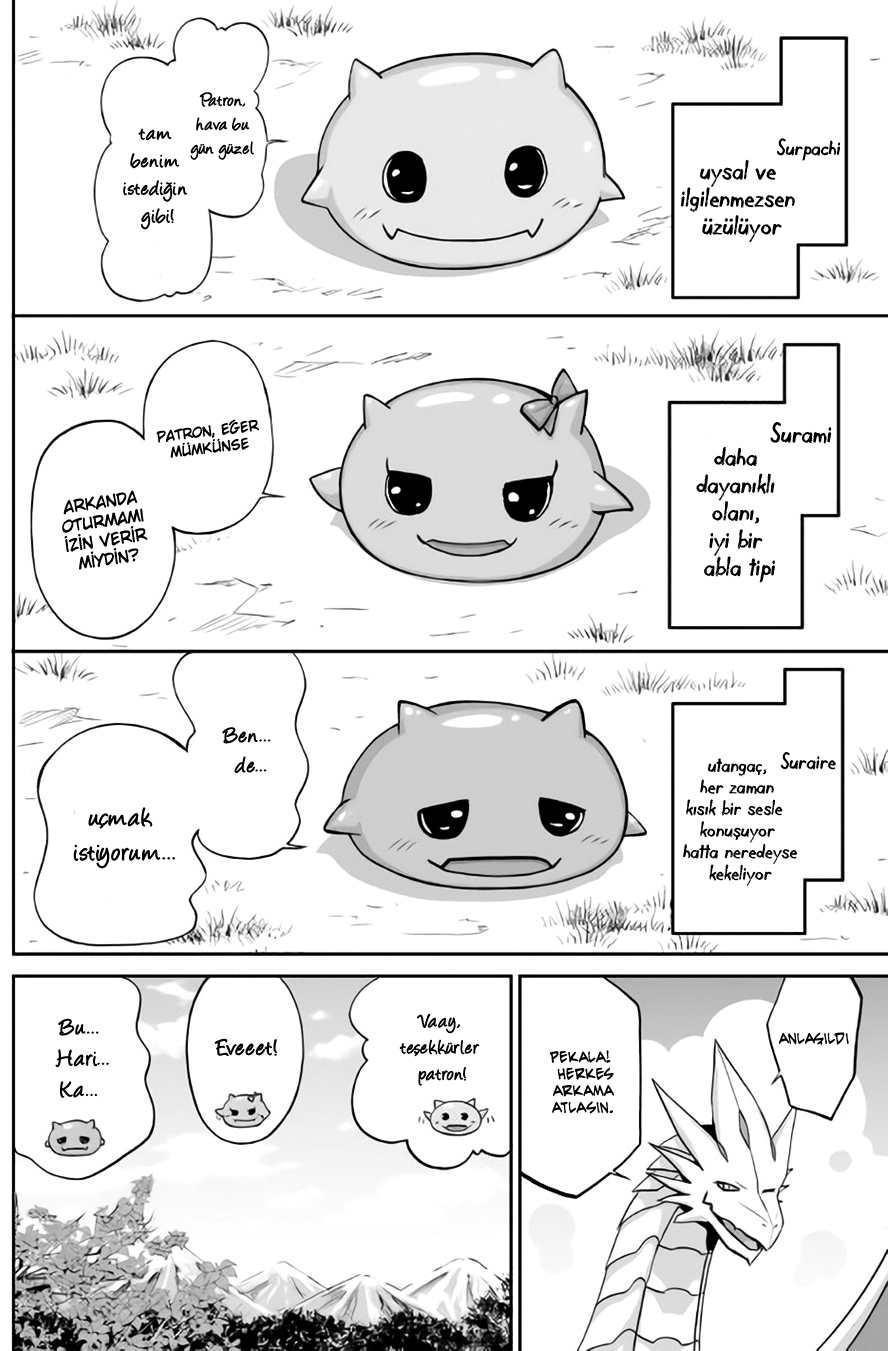 The Reincarnated Evil Dragon Vol. 1 Ch. 1 第17页