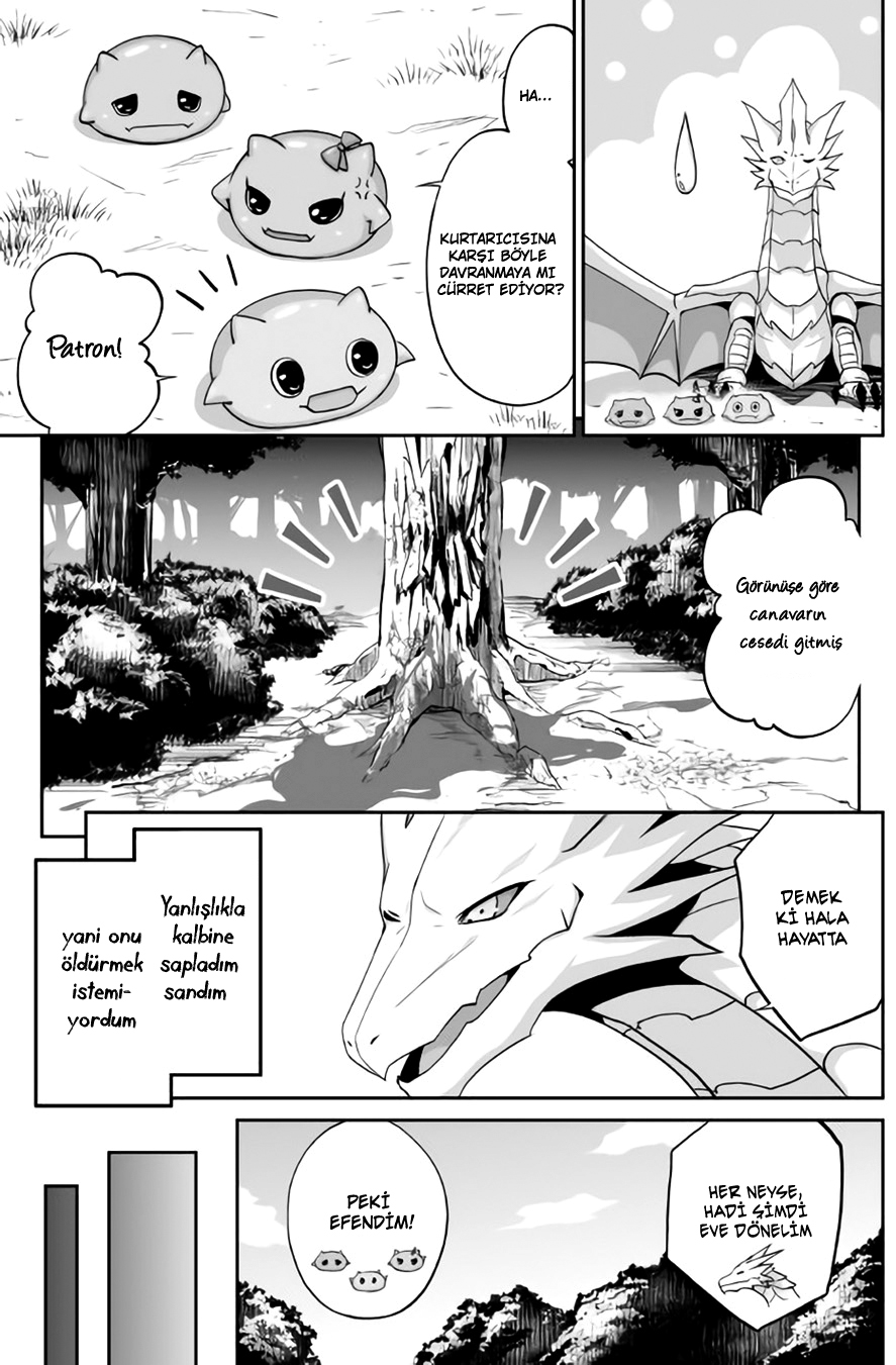 The Reincarnated Evil Dragon Vol. 1 Ch. 1 第28页